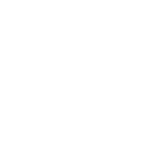 comment white icon